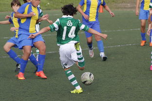 爱游互娱游戏官网-国家体育场运营中心发布暑期开放时间公告，国家体育场百度百科